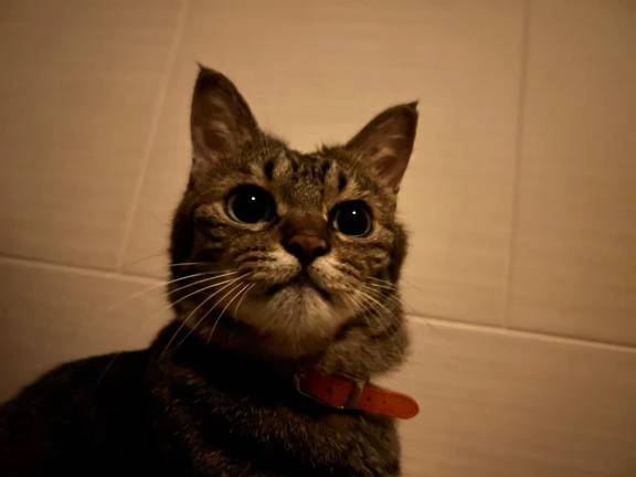 出勤しました🩷