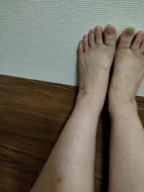 お昼でーす