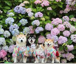 ありがとうございました