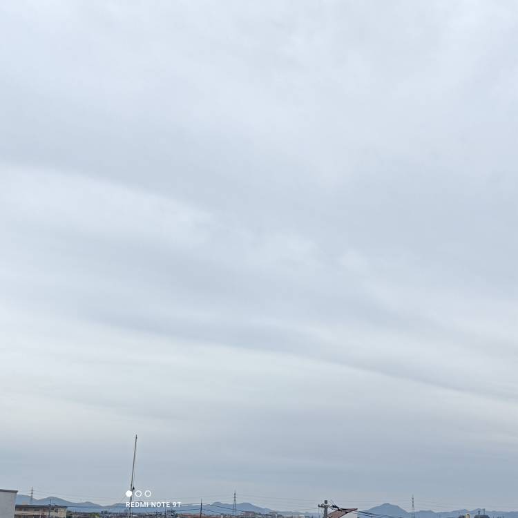 おはようございます。