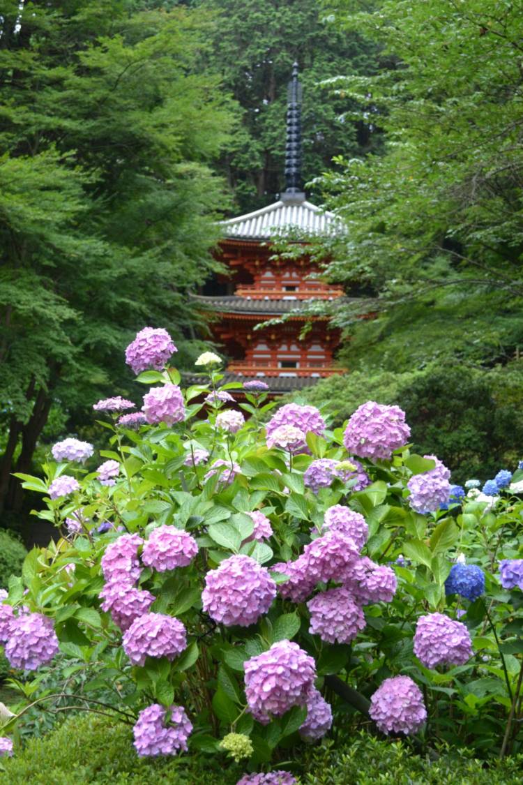 出勤の予定でしたが、お休みさせていただきます