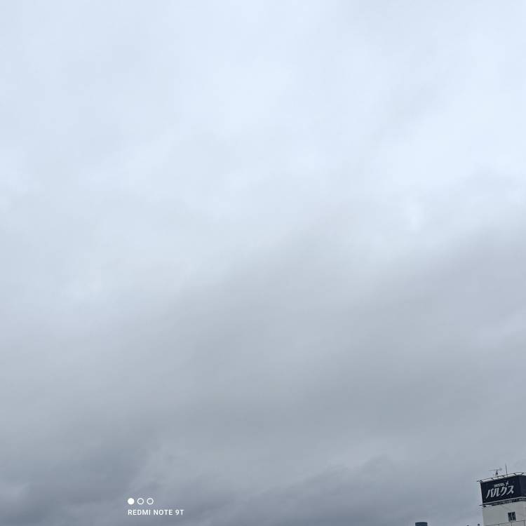 おはようございます。
