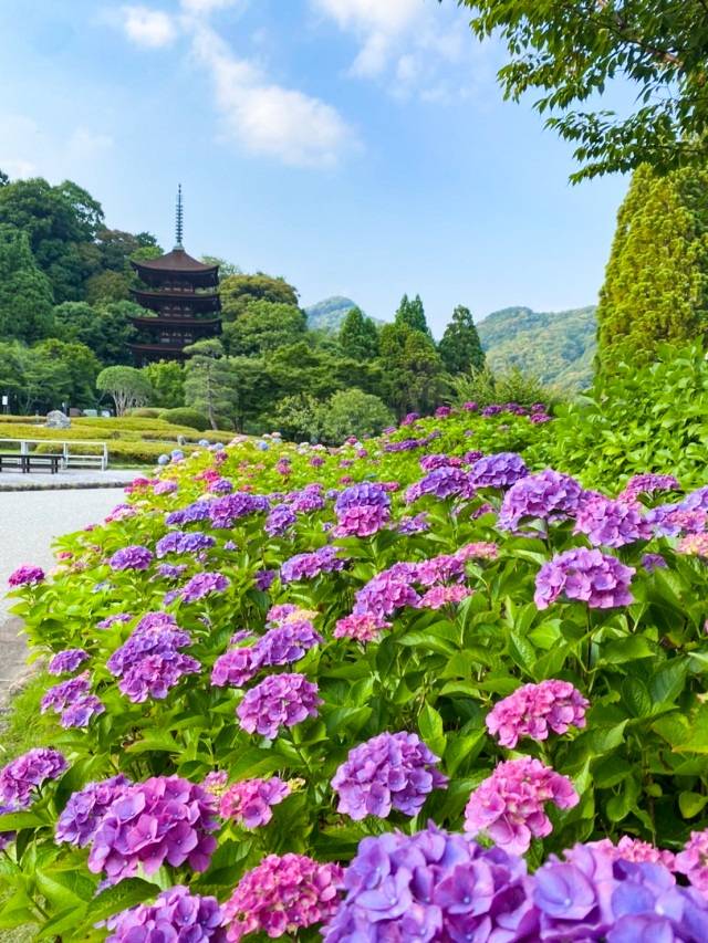 出勤の予定でしたが、お休みさせていただきます