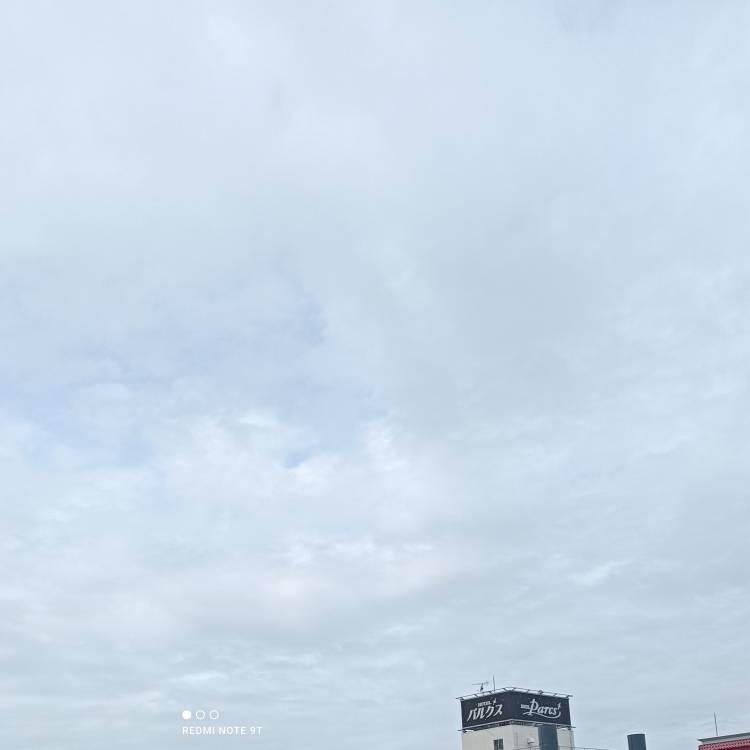 おはようございます。