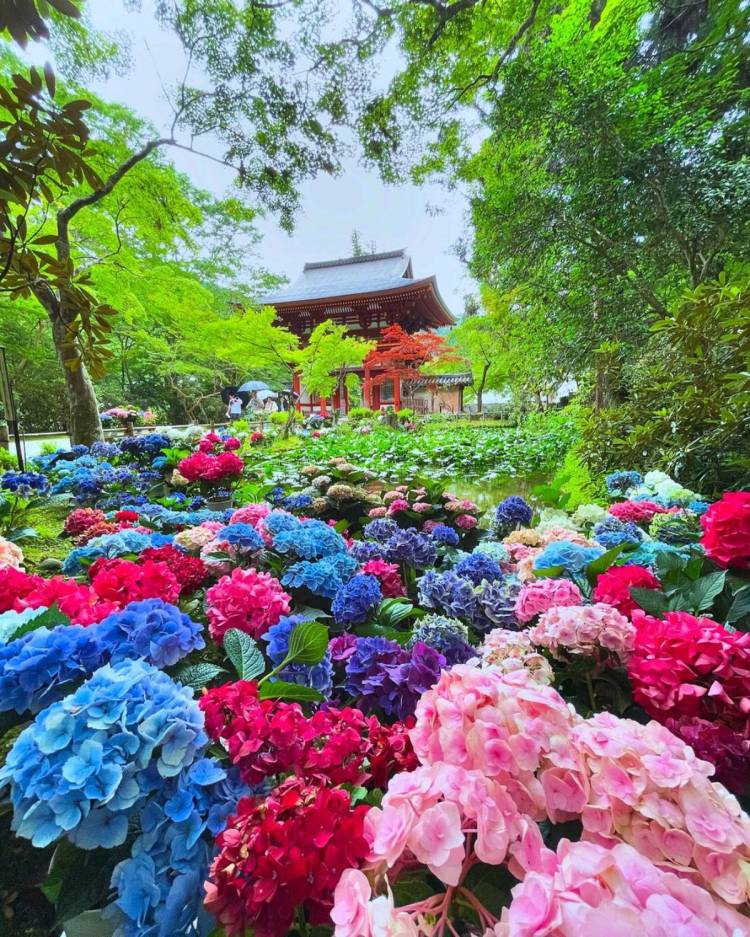 6月になって2回目の火曜日