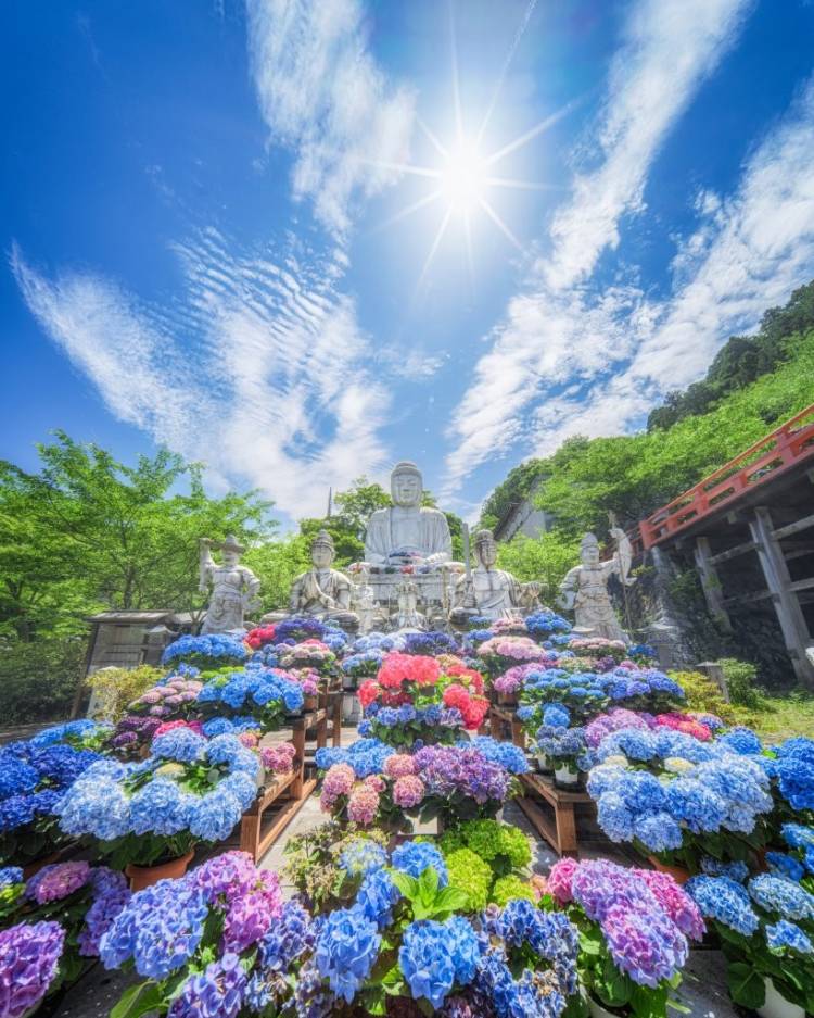 ６月になって２回目の水曜日
