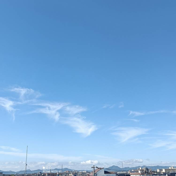 おはようございます