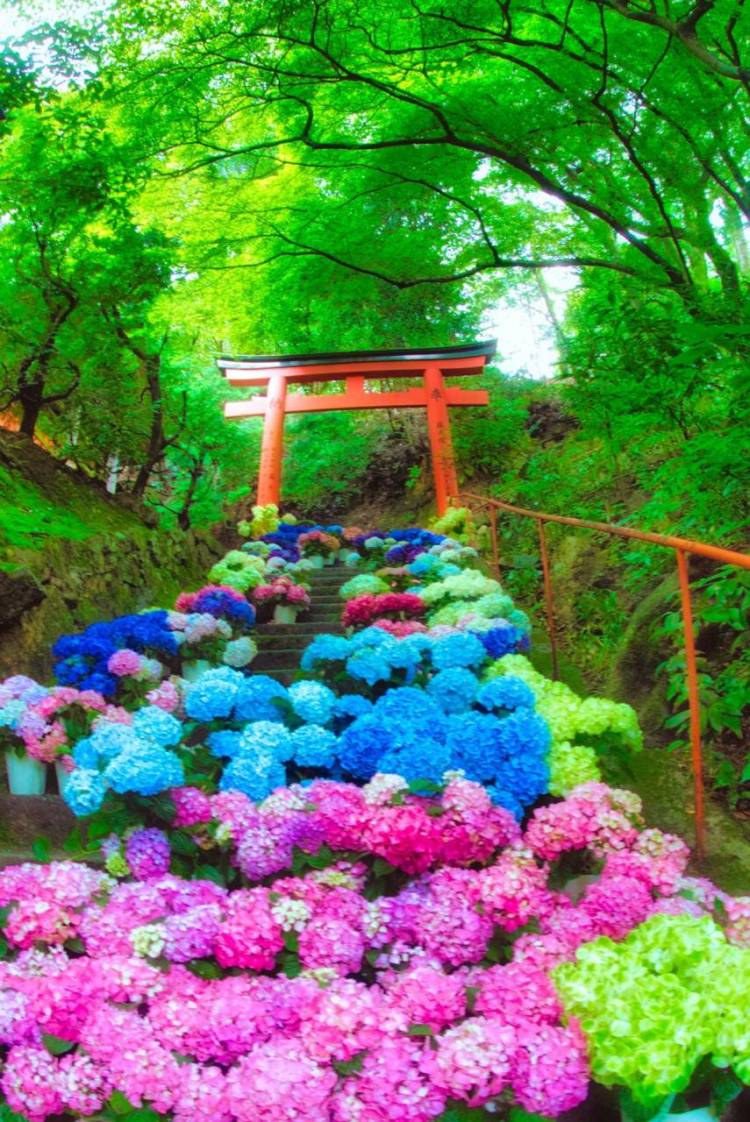 ６月になって２回目の木曜日
