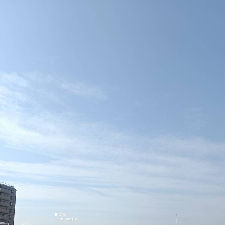 おはようございます。