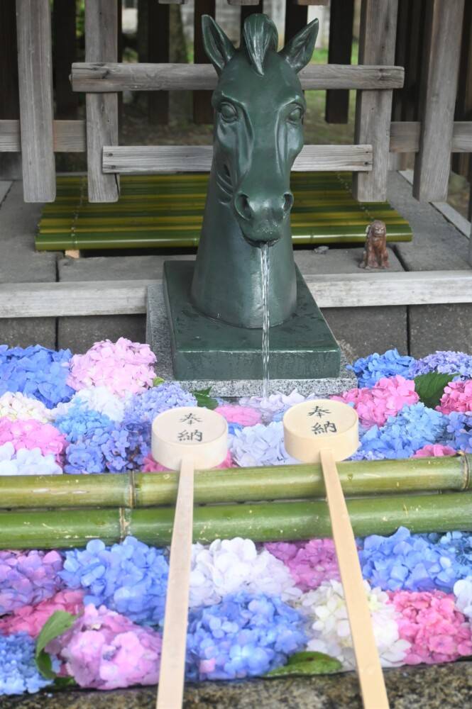 予想最高気温は昨日と同じ２９℃