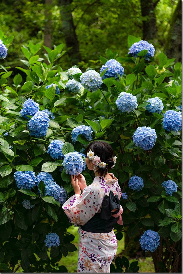 予想最高気温は２８℃
