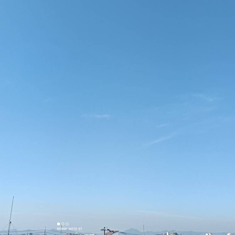 おはようございます