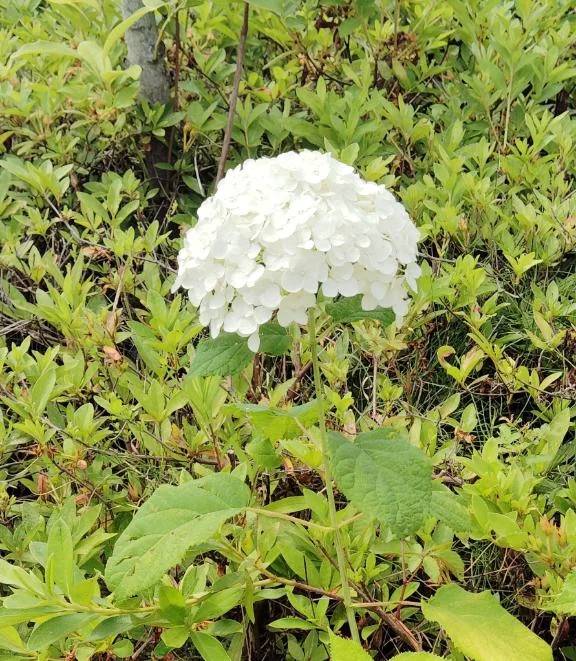 おはようございます😊