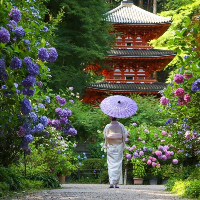 予想最高気温は28℃