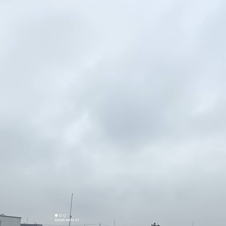 おはようございます。