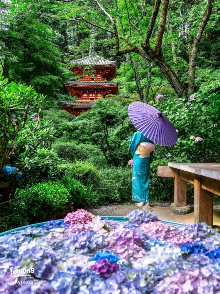 出勤の予定でしたが、お休みさせていただきます