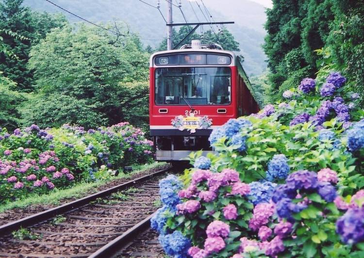 １０時３０分から出動の予定でしたが１５時から出勤します