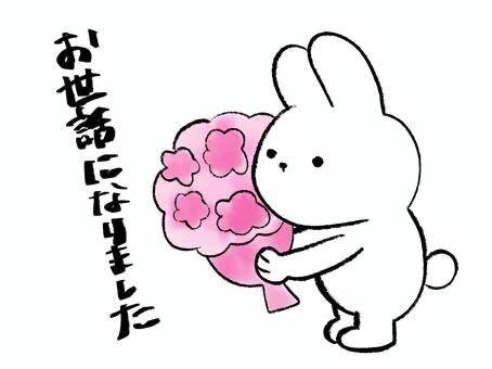 7月17日、ラスト。