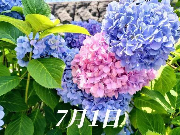 7月もヨロシクです❤️🤍