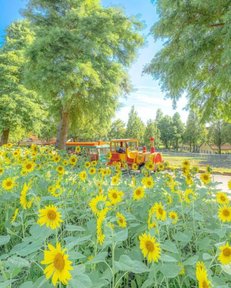 ７月になって初めての木曜日