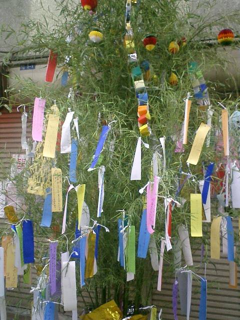 出勤の予定でしたが、お休みさせていただきます