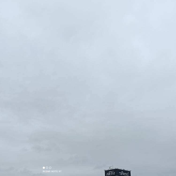 出勤しました。