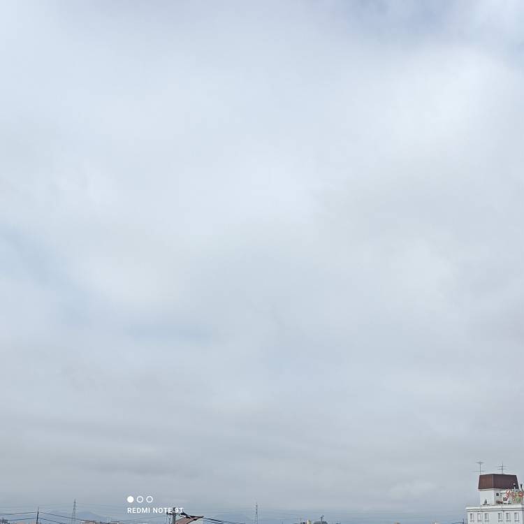 出勤しました。