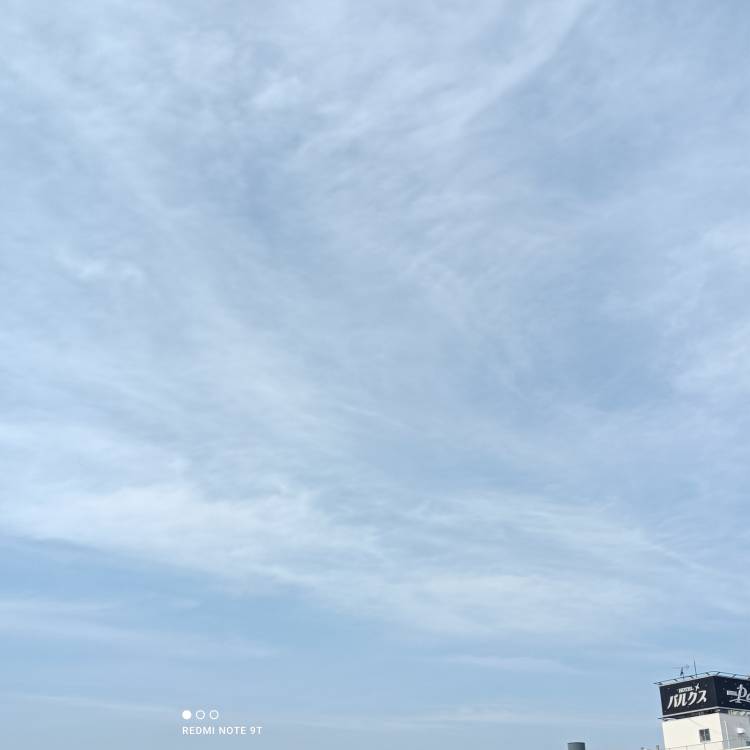 おはようございます。