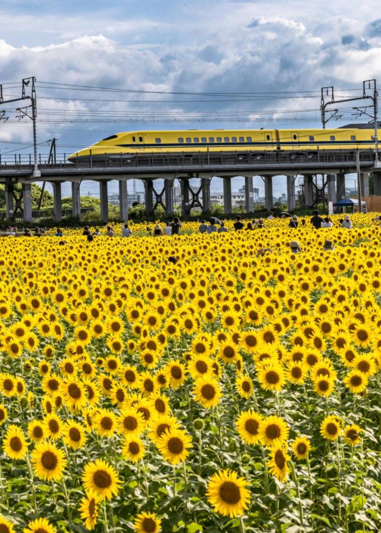 ７月になって２回目の火曜日