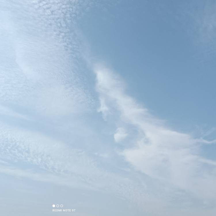 おはようございます。