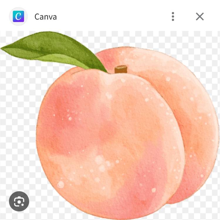 ありがとう🍑🤗☺️