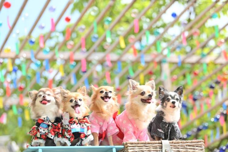 本日も宜しくお願い致します