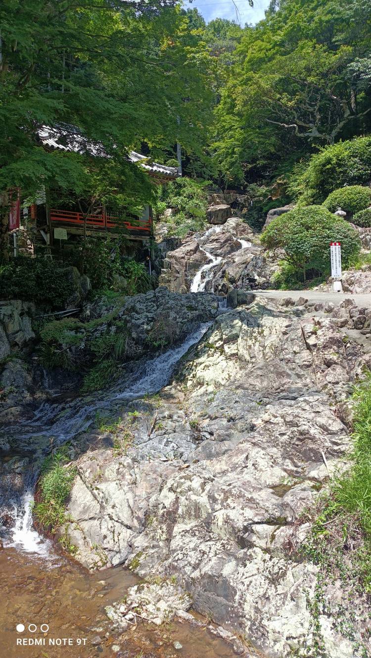 お疲れ様でした。