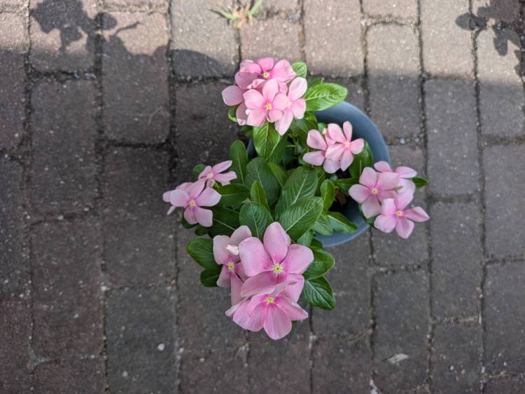 出勤しました😊