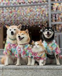 ありがとうございました