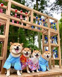 本日も宜しくお願い致します
