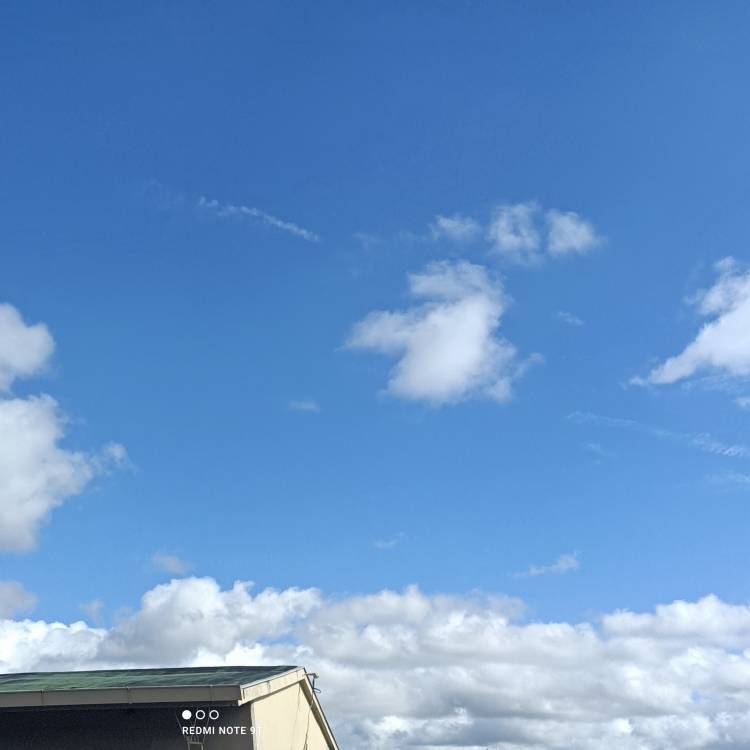 今日も