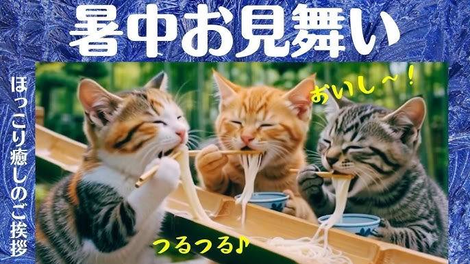 本日も宜しくお願い致します