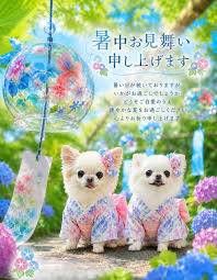 出勤の予定でしたが、お休みさせていただきます