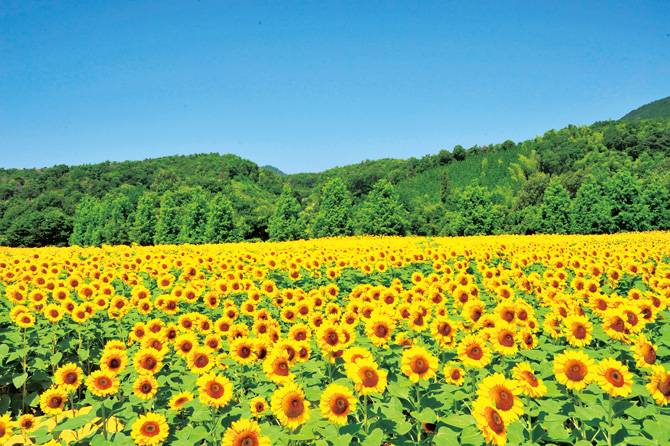 ９月になって初めての金曜日