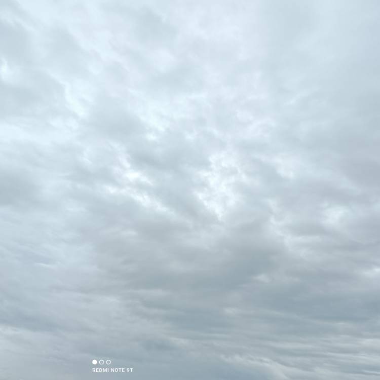 今日は