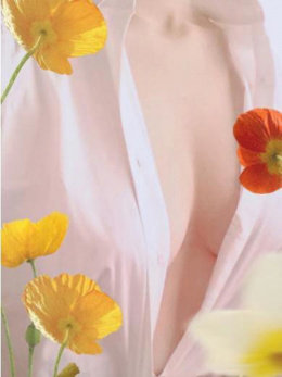 けい　期間限定