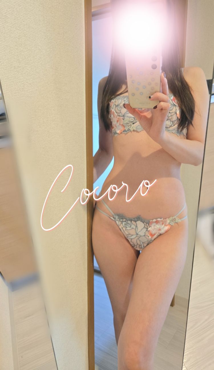 🩷️本日最終日