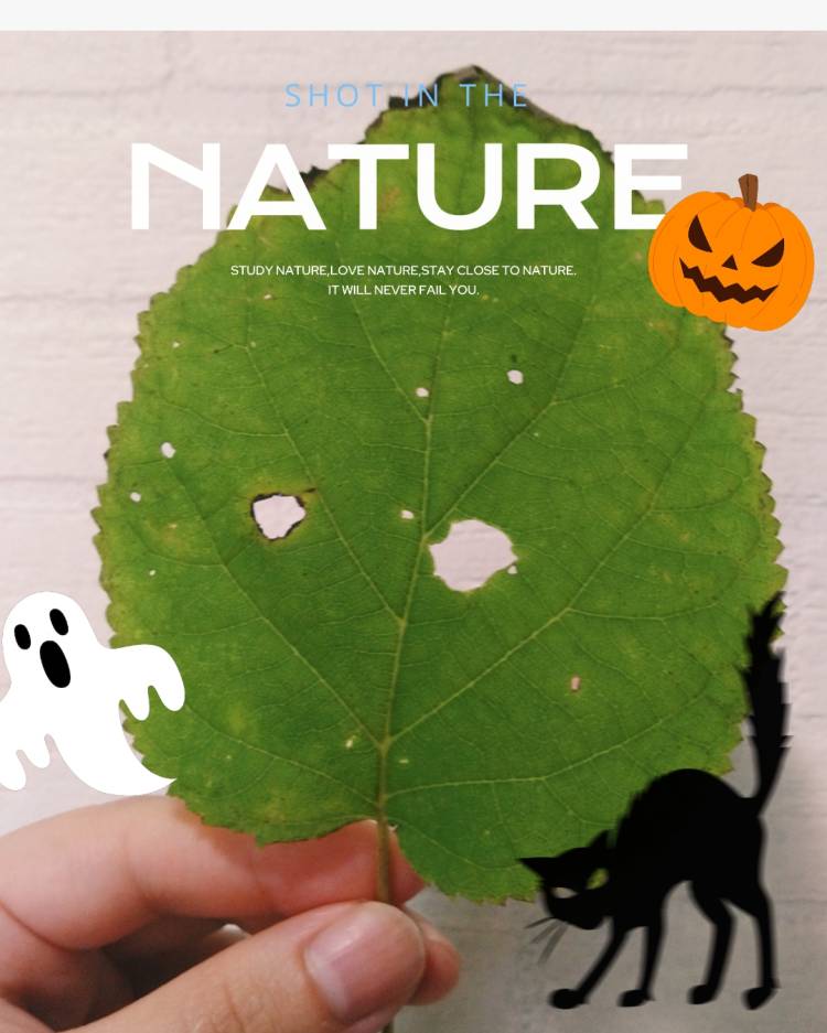 奈津(なつ)（Kiss me キスミー(県央部出張専門店・防府山口)）