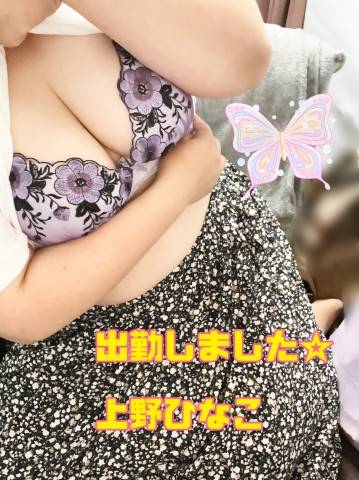 出勤しました☆