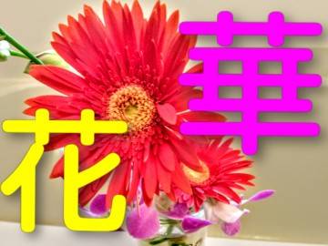 おはよう