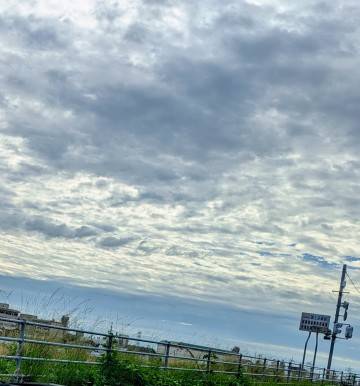 出勤しました