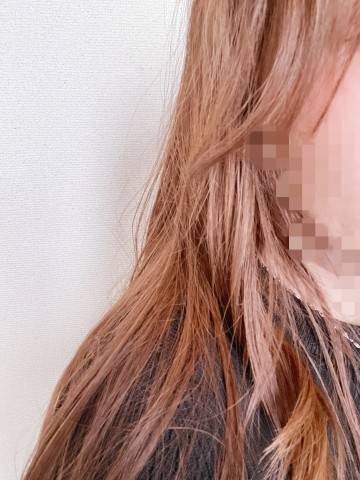 出勤しました。