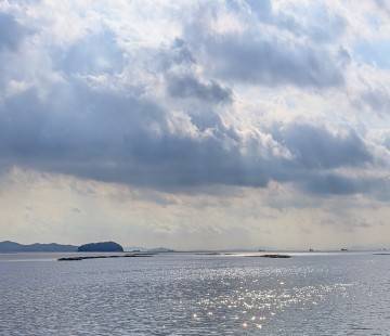 出勤しています