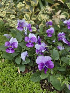 本日18時から出勤します☆